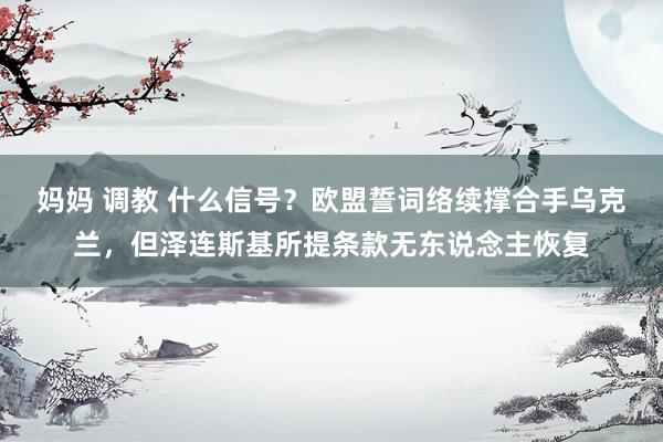 妈妈 调教 什么信号？欧盟誓词络续撑合手乌克兰，但泽连斯基所提条款无东说念主恢复